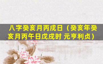 八字癸亥月丙戌日（癸亥年癸亥月丙午日戊戌时 元亨利贞）